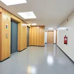 Lisbon Apartment -Free Parking